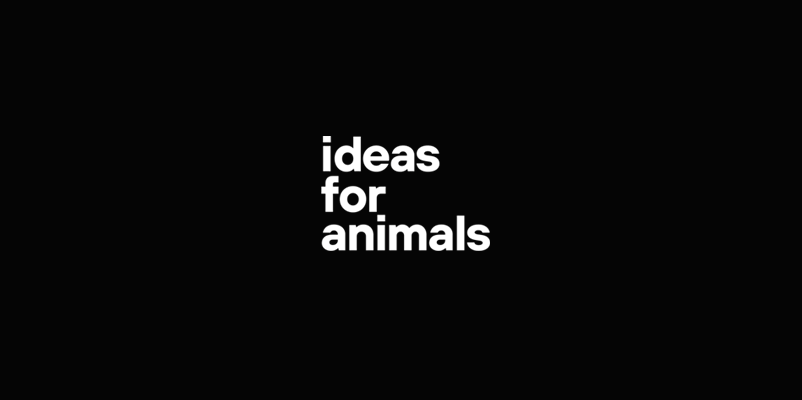 Idea For Animals